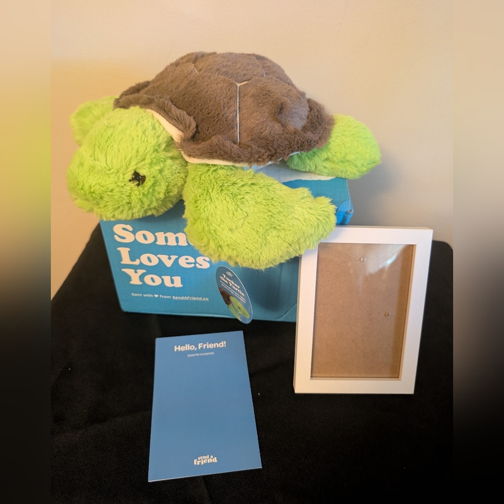NWT Send A Friend Tucker The Turtle 10"  And 4" x 6" Frame